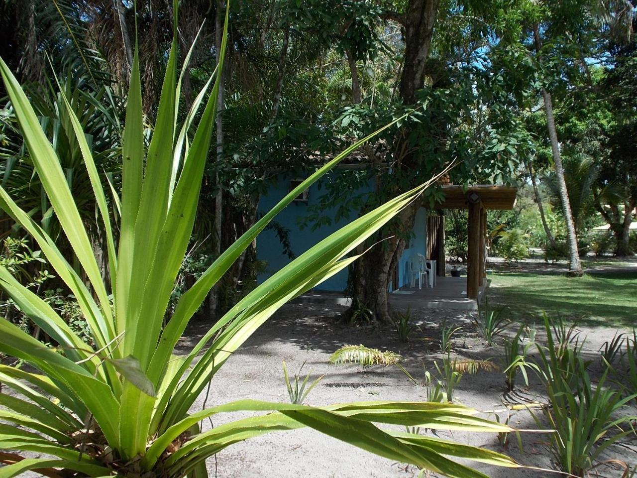 Onca 1024 Villa Trancoso Exteriör bild